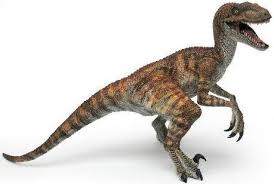 Image result for Velociraptor