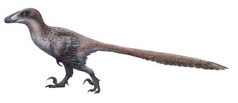 Image result for Deinonychus,