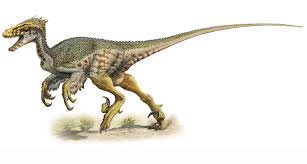 Image result for Deinonychus,