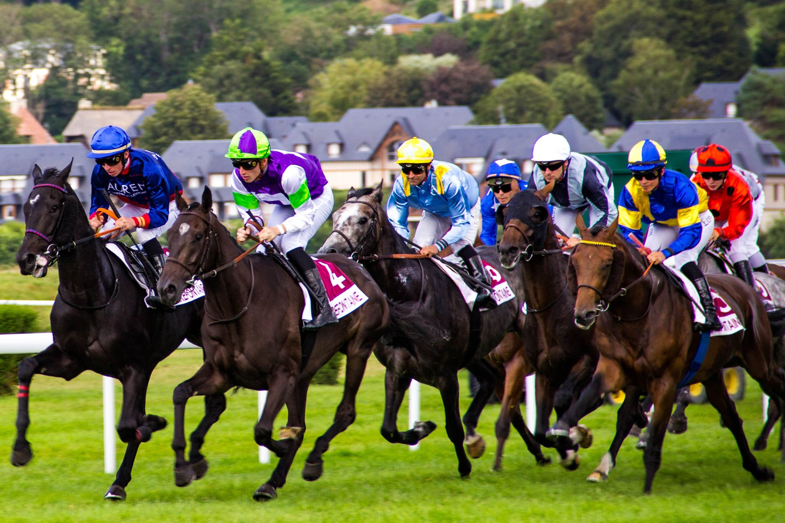 Race Horse Syndicates