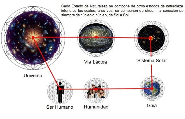 2. flor-de-la-vida-el-todo-y-sus-partes