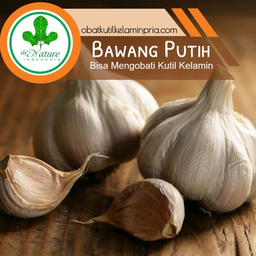 CARA MENGHILANGKAN KUTIL KELAMIN MENGGUNAKAN BAWANG PUTIH