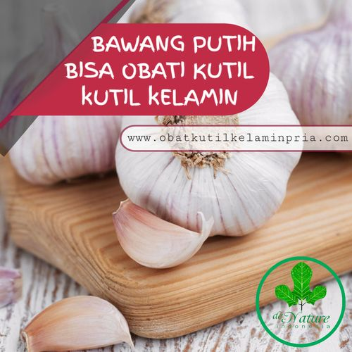 CARA MENGHILANGKAN KUTIL KELAMIN MENGGUNAKAN BAWANG PUTIH