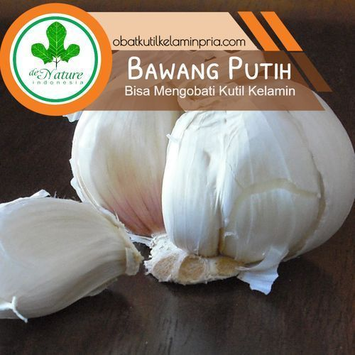 CARA MENYEMBUHKAN KUTIL KELAMIN DENGAN BUMBU DAPUR BAWANG PUTIH