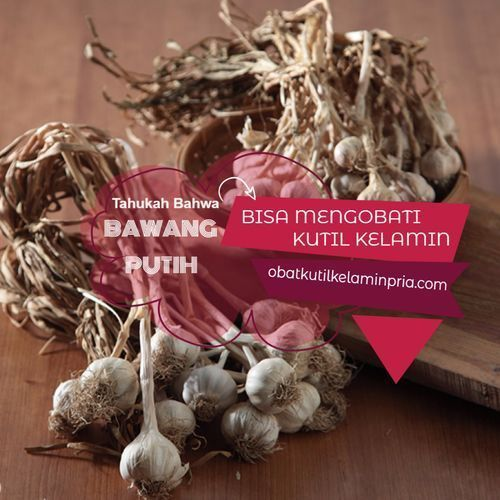 CARA MENGOBATI KUTIL KELAMIN DENGAN BAWANG PUTIH