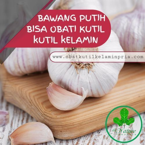 PENGOBATAN KUTIL KELAMIN SECARA ALAMI DENGAN BAWANG PUTIH