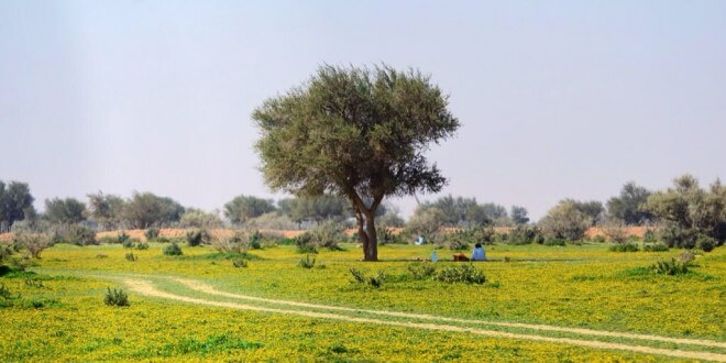 السياحة في السعودية