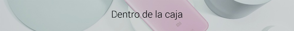 dentro de caja