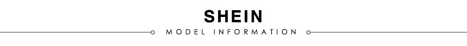 Model information