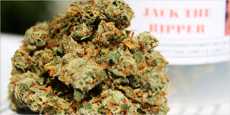 10 sativa ci 11 Top 10 Sativa Strains