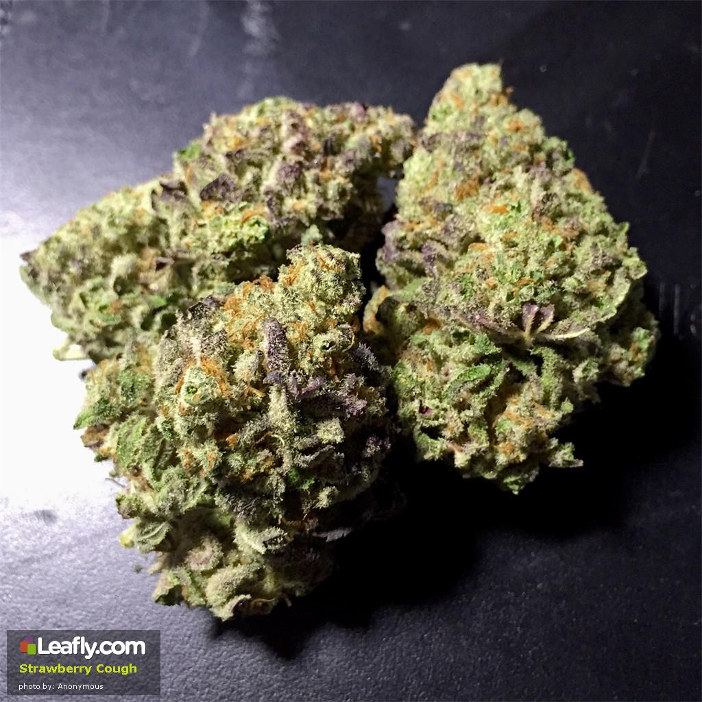 strawberry cough  primary ddd6 10 Brand New Marijuana Strains to Try