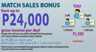 Aim Global income