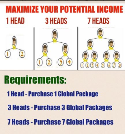 Aim Global income
