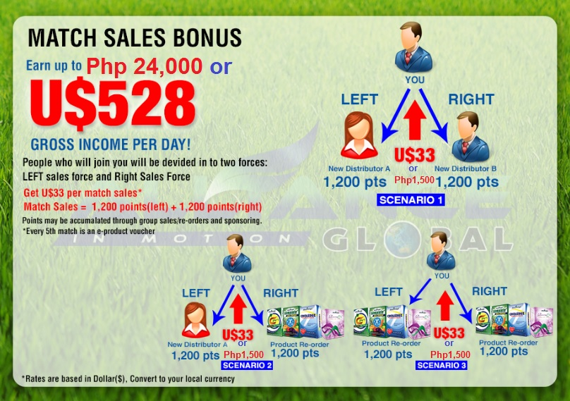 Aim Global income