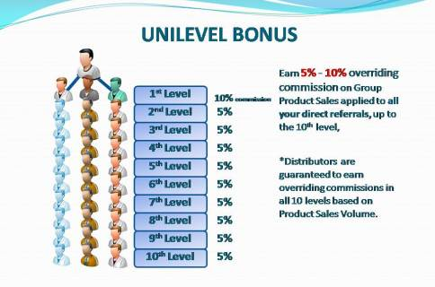 AIM Global Compensation/Marketing Plan