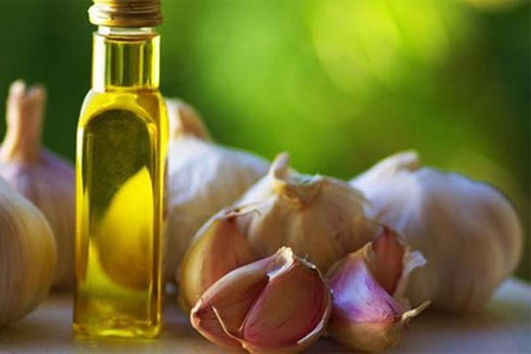 Tỏi và dầu mè chữa thoái hóa đốt sống cổ