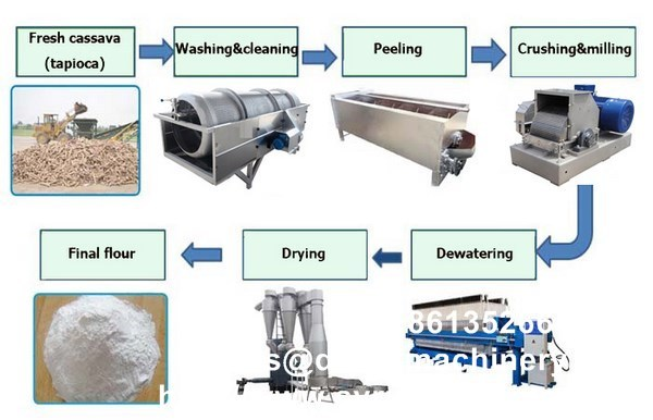 cassava flour making process