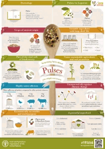 pulses