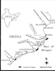 orissa_map