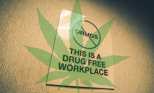 drug free workplace program