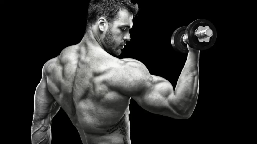 a última peça do enigma physique curl