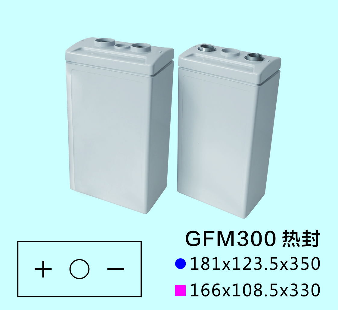 GFM 300