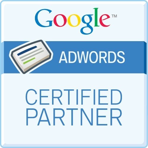 Google ads management company