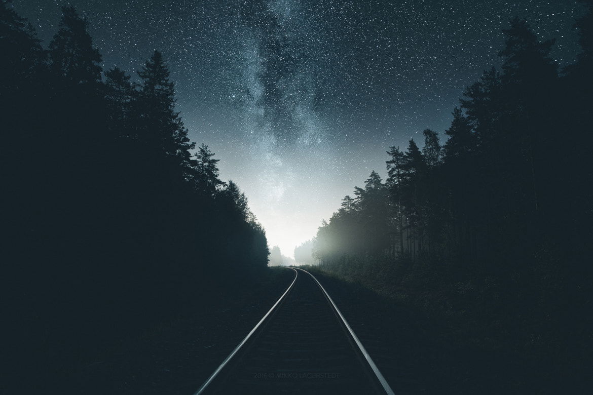 Image result for mikko lagerstedt