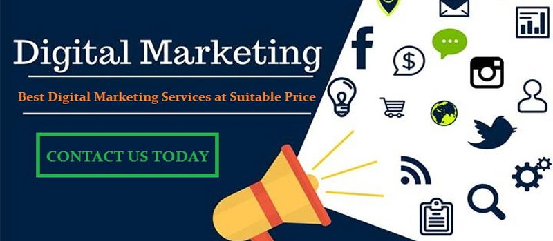 Digital Marketing Service in Delhi