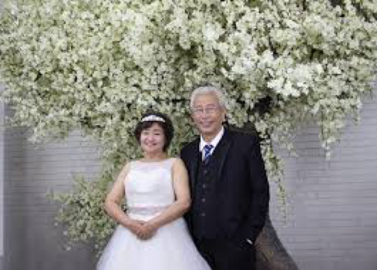 金婚，金婚旅行，金婚婚纱照