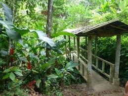 Resultado de imagen para jardin botanico san jorge