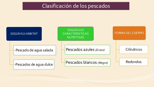 Imagen relacionada