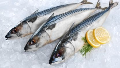 Image result for caballa