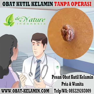 Obat Kutil Kelamin