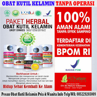 Obat Kutil Kelamin