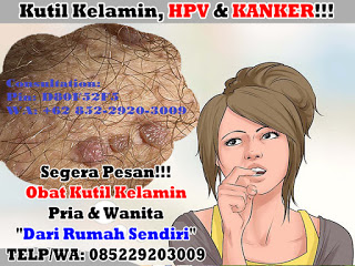 Obat Kutil Kelamin