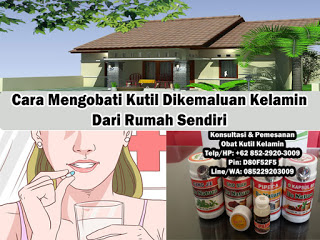 Obat Kutil Kelamin