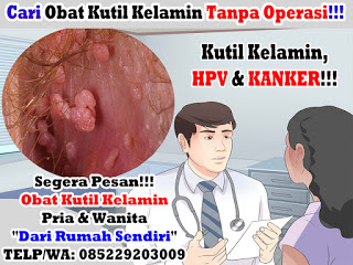 Obat Kutil Kelamin