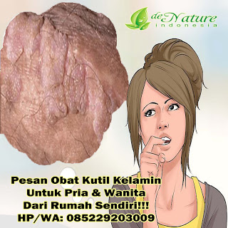 4 Obat Kutil Kelamin Kanker Jengger Ayam De Nature