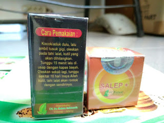 Obat Kutil Kelamin