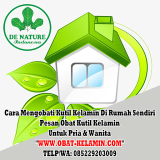 Obat Kutil Kelamin