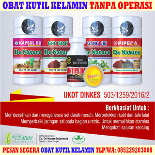 Obat Kutil Kelamin