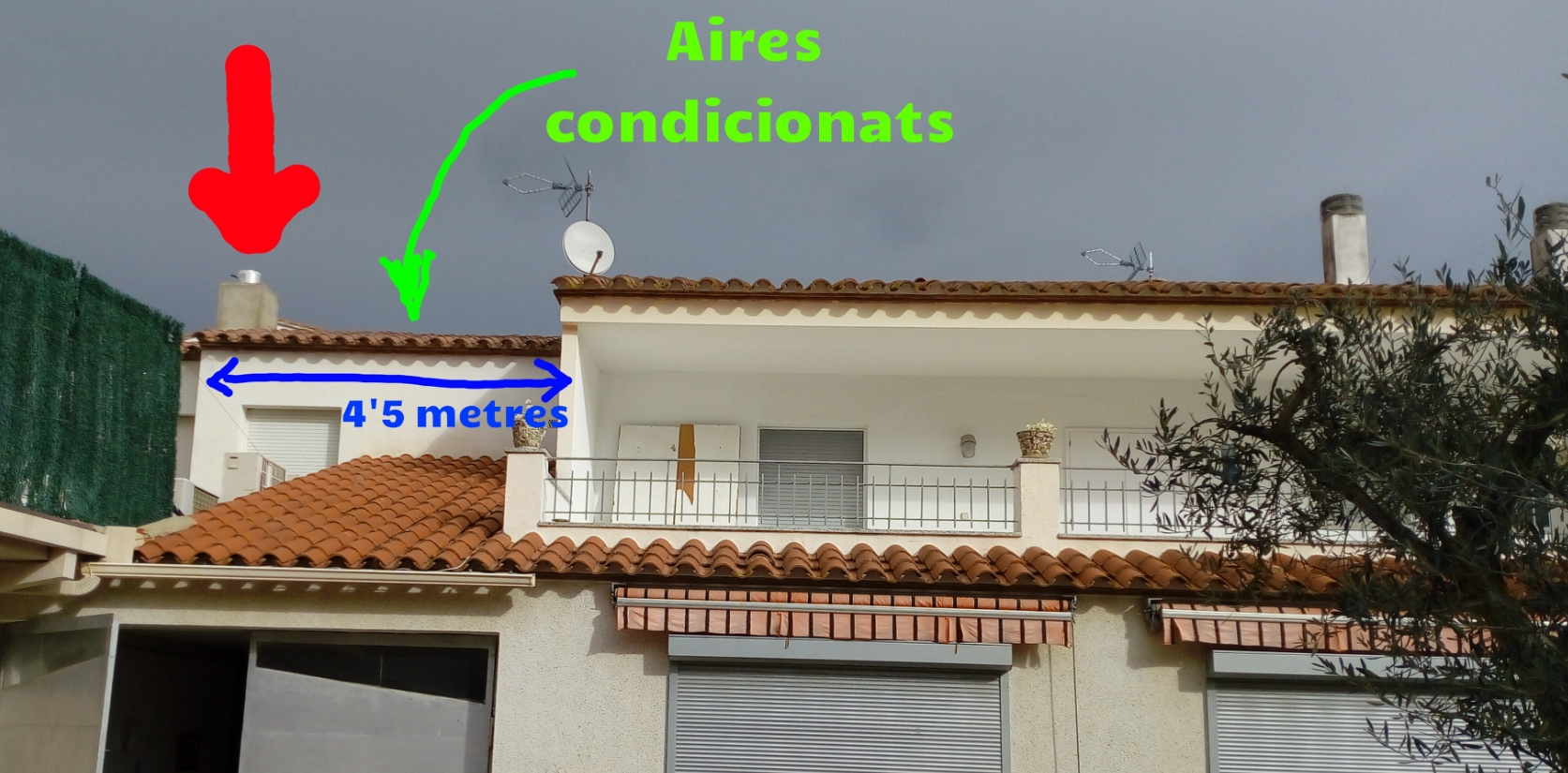 Llicencies permisos estartit torroella