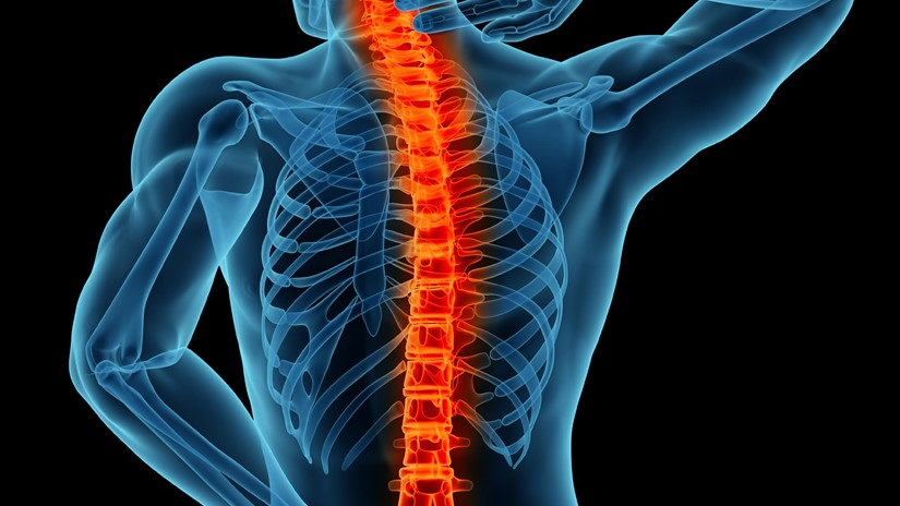 Spinal Surgery Doctor