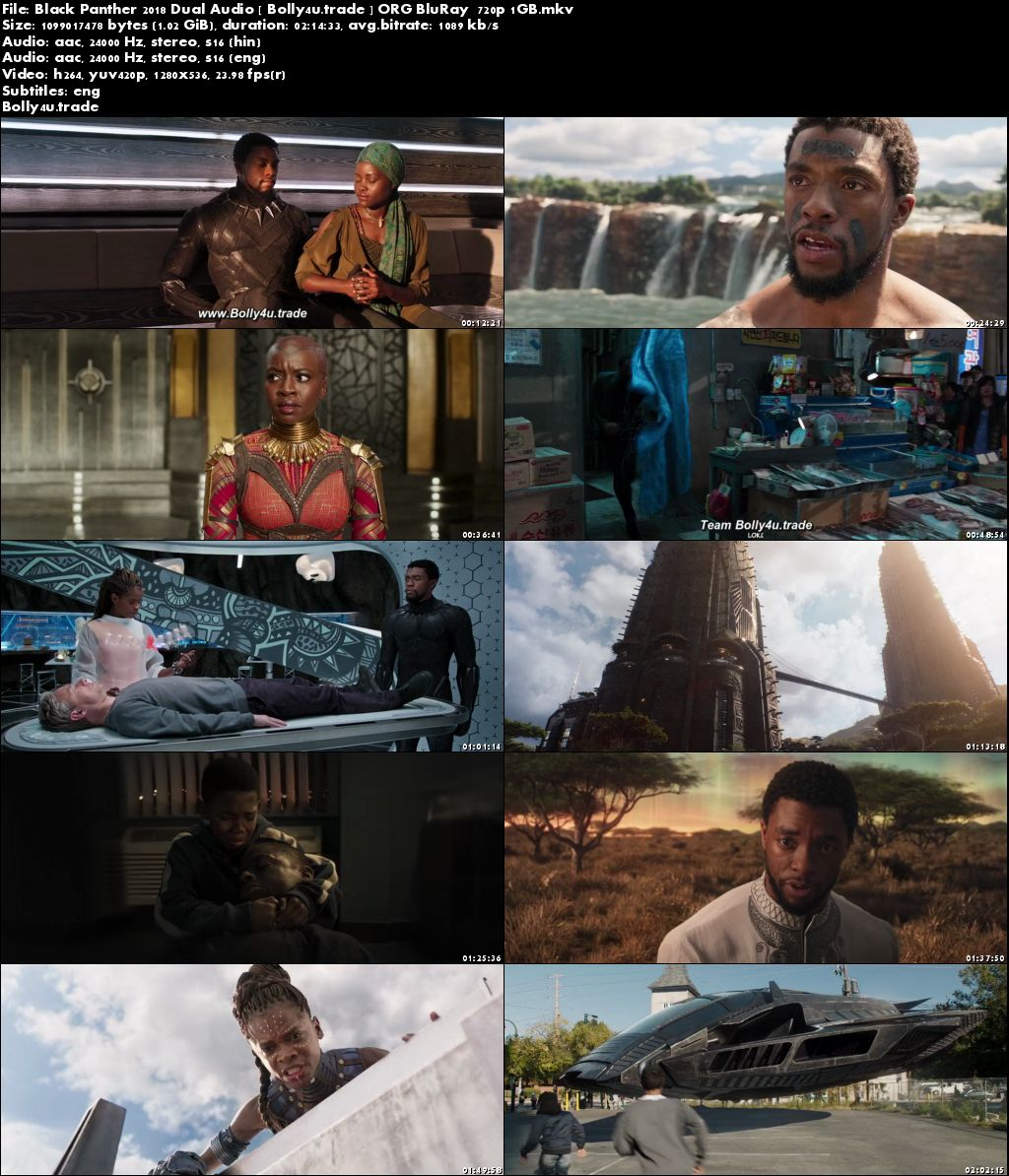 Black Panther 2018 BluRay 1Gb ORG Hindi Dual Audio 720p Download