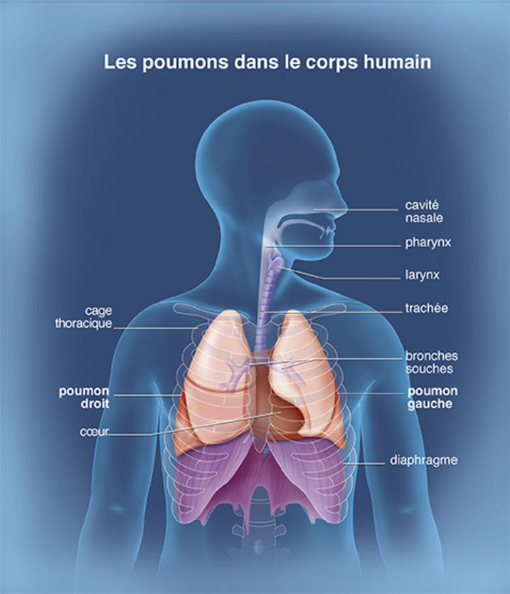 Résultat de recherche d'images pour 