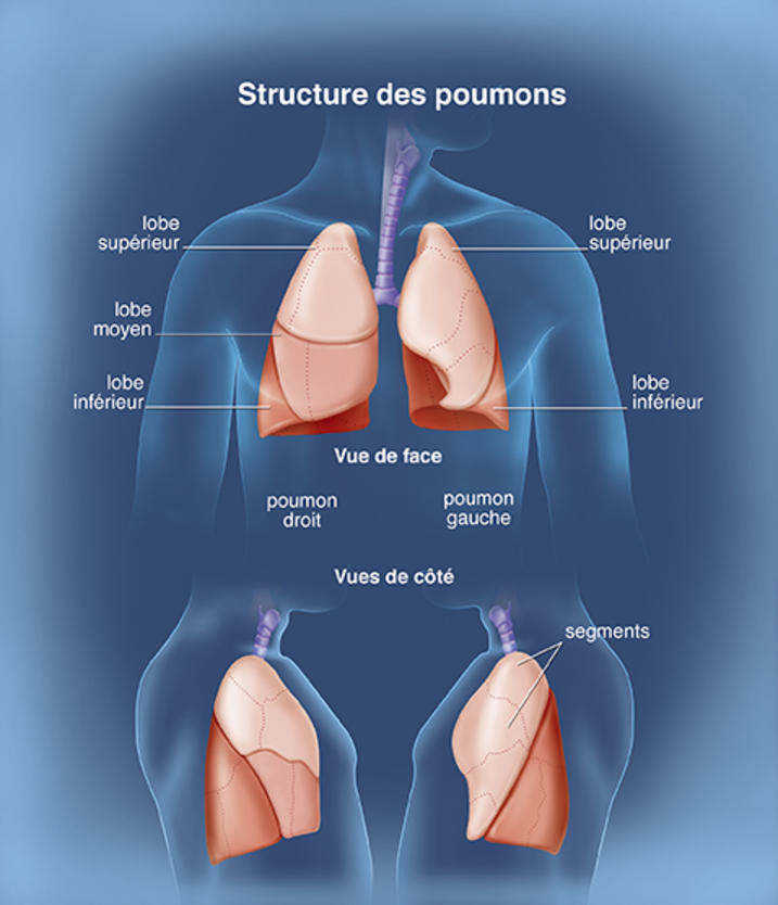 Résultat de recherche d'images pour 