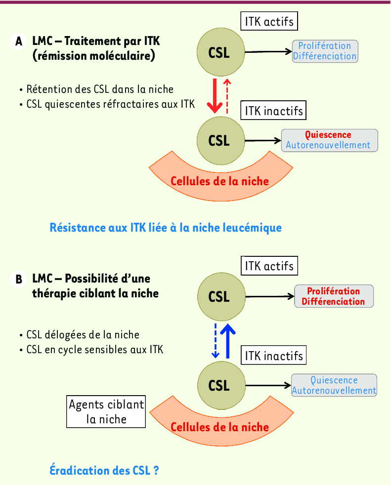 Résultat de recherche d'images pour 