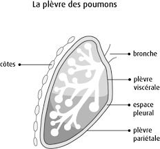 Résultat de recherche d'images pour 