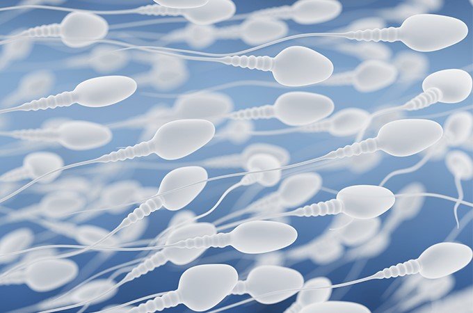 male enhancement supplement sperm count
